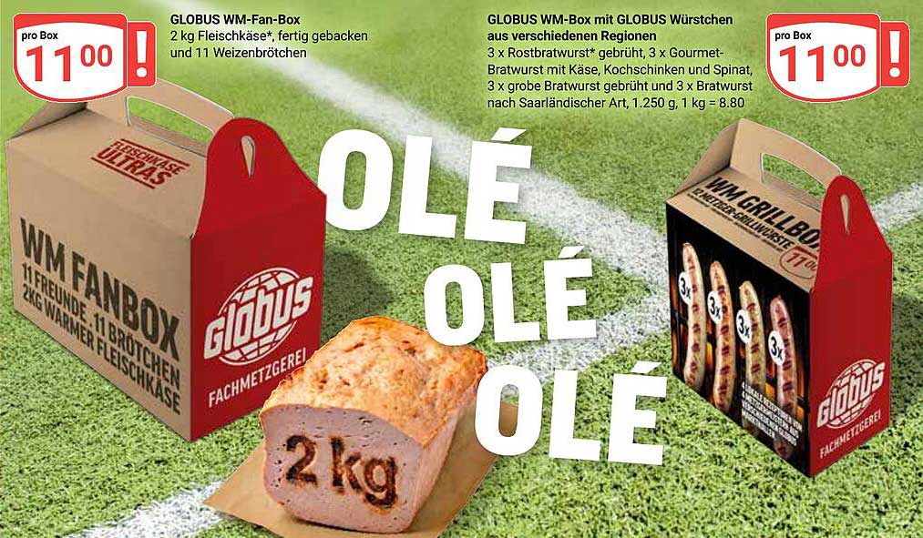 GLOBUS WM-Fan-Box