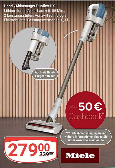 Hand-/Akkusauger Duoflex HX1