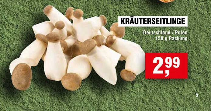 KRÄUTERSEITLINGE