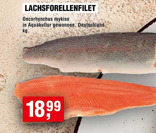 LACHSFORELLENFILET