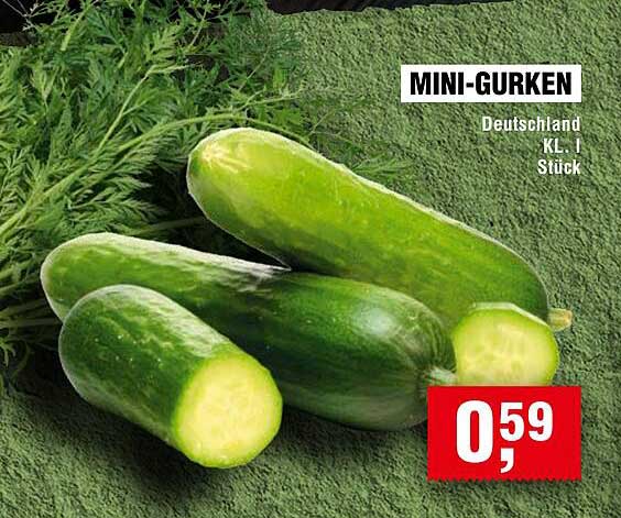 MINI-GURKEN