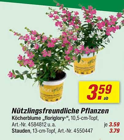 Nützlingsfreundliche Pflanzen