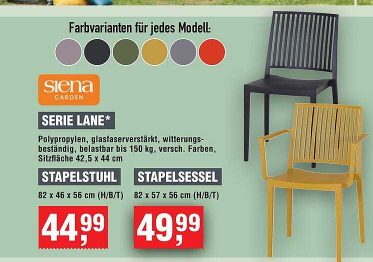 SERIE LANE*