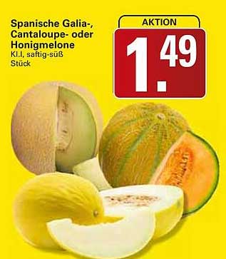 Spanische Galia-, Cantaloupe- oder Honigmelone