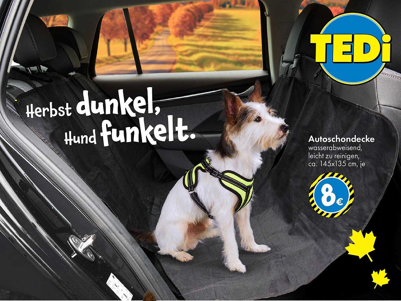 Autoschondecke für Hunde
