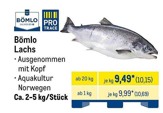Bömlö Lachs Ausgenommen mit Kopf - Aquakultur Norwegen
