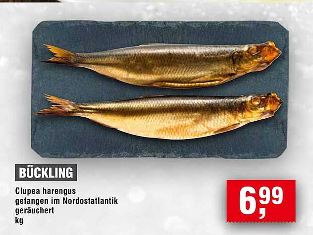 Bückling - Clupea harengus, gefangen im Nordostatlantik, geräuchert
