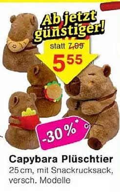 Capybara Plüschtier 25 cm mit Snackrucksack, versch. Modelle