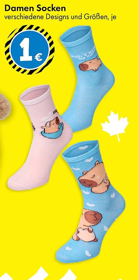 Damen Socken verschiedene Designs und Größen, je