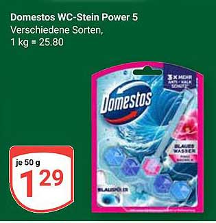 Domestos WC-Stein Power 5 - verschiedene Sorten
