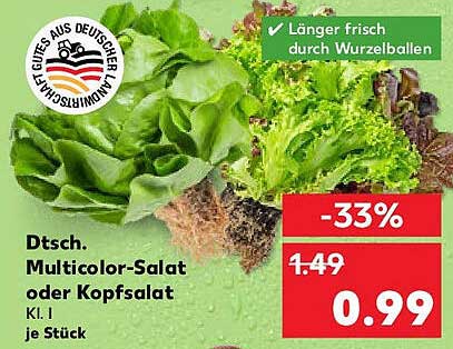 Dtsch. Multicolor-Salat oder Kopfsalat Kl. I je Stück