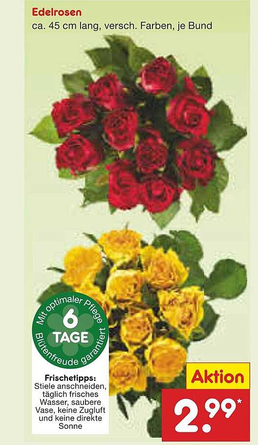 Edelrosen ca. 45 cm lang, verschieden Farben, je Bund