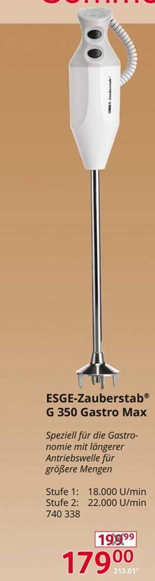 ESGE-Zauberstab® G 350 Gastro Max