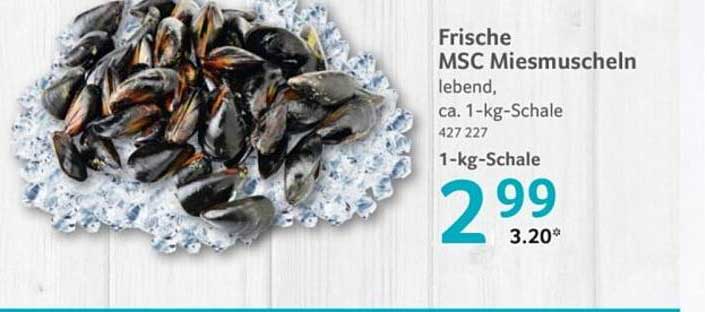 Frische MSC Miesmuscheln lebend, ca. 1-kg-Schale