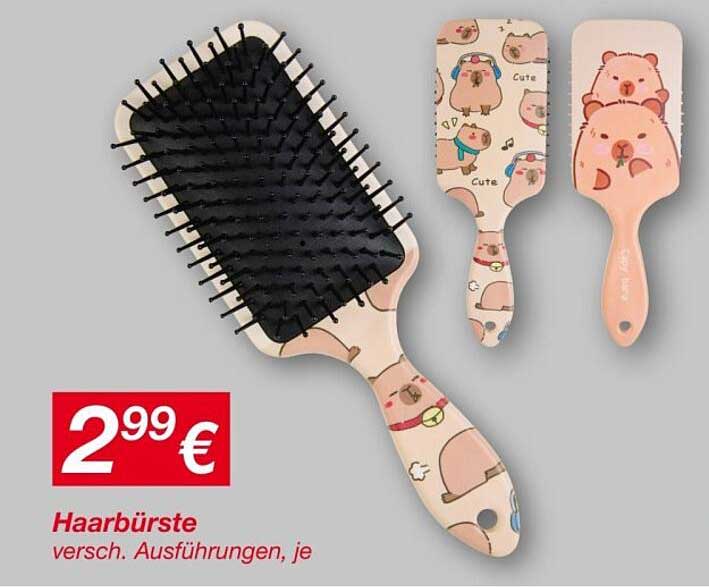 Haarbürste versch. Ausführungen, je