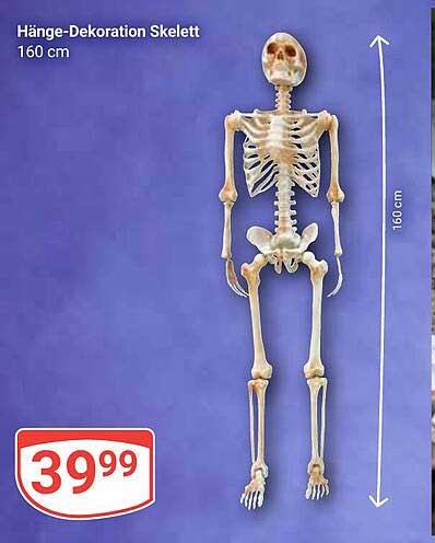 Hänge-Dekoration Skelett 160 cm