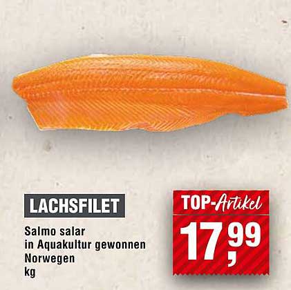 Lachsfilet - Salmo salar aus Aquakultur gewonnen