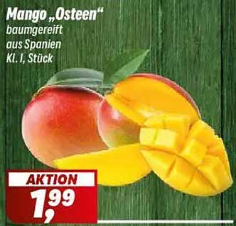 Mango „Osteen“ baumgereift aus Spanien Kl. I, Stück
