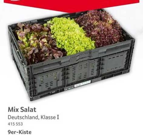 Mix Salat Deutschland, Klasse I - 9er-Kiste
