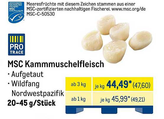 MSC Kammmuschelfleisch - Aufgetaut, Wildfang aus dem Nordwestpazifik