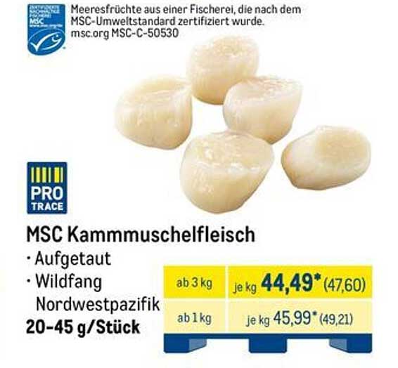 MSC Kammmuschelfleisch Aufgetaut - Wildfang Nordwestpazifik