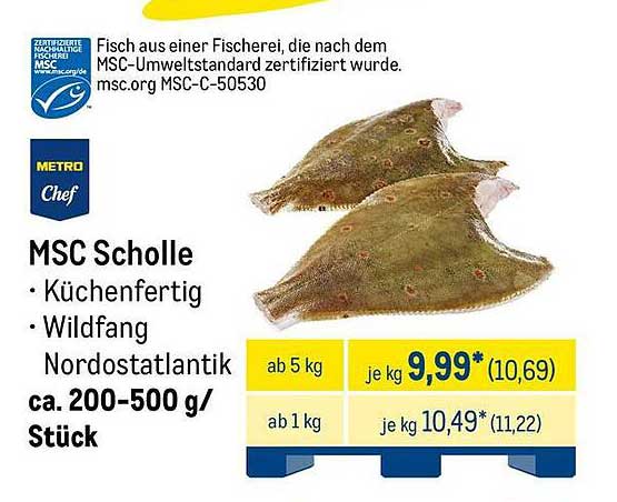 MSC Scholle – Küchenfertig, Wildfang Nordostatlantik