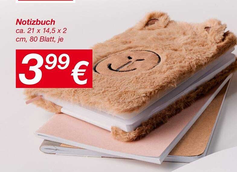 Notizbuch ca. 21 x 14,5 x 2 cm, 80 Blatt, je