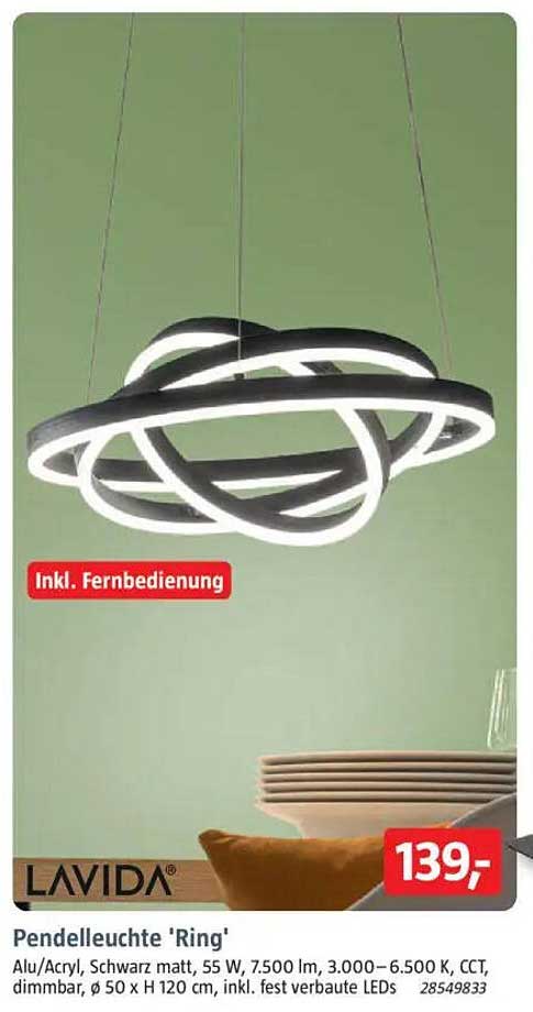Pendelleuchte 'Ring'