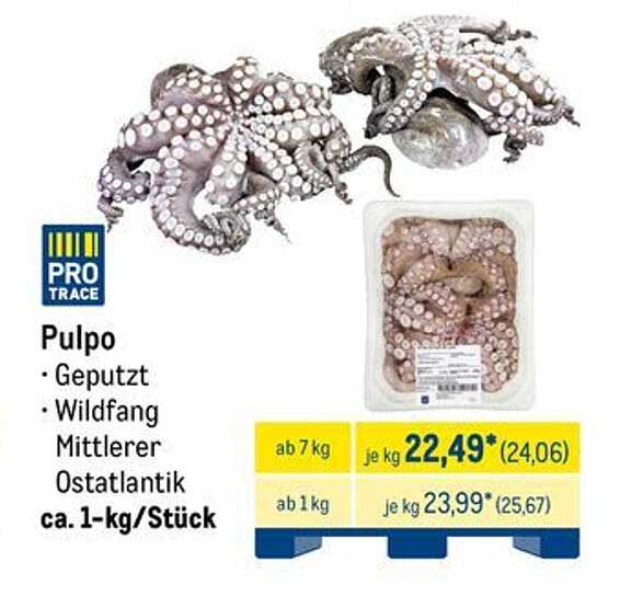 Pulpo - Geputzt, Wildfang, Mittlerer Ostatlantic