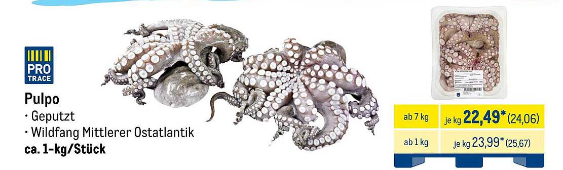 Pulpo - Geputzt, Wildfang Mittlerer Ostatlantik