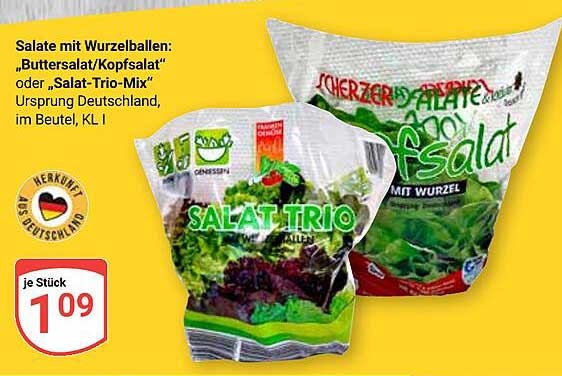 Salate mit Wurzelballen: „Buttersalat/Kopfsalat“ oder „Salat-Trio-Mix“