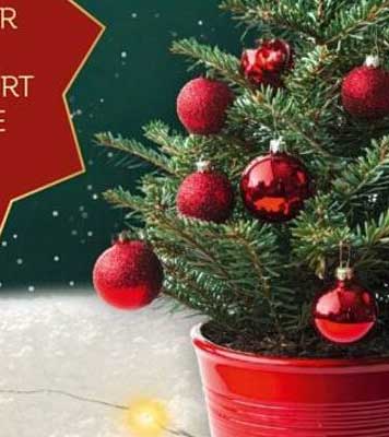 Weihnachtsbaum in Topf mit dekoren Kugeln