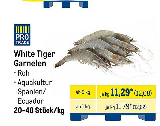 White Tiger Garnelen - Roh aus Aquakultur