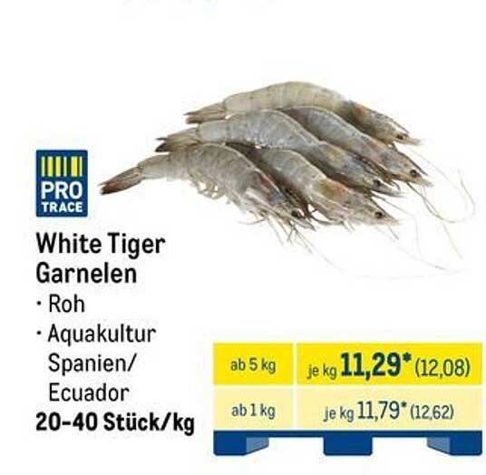 White Tiger Garnelen - Roh aus Aquakultur