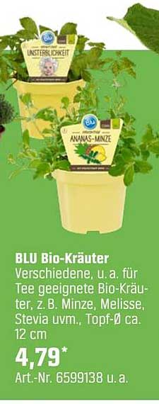 BLU Bio-Kräuter – Verschiedene, u. a. für Tee geeignete Bio-Kräuter