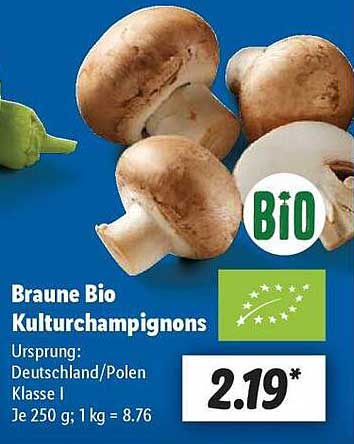 Braune Bio Kulturchampignons