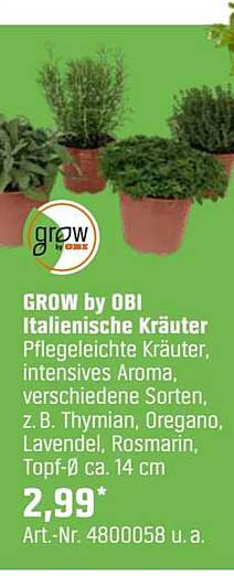 GROW by OBI Italienische Kräuter