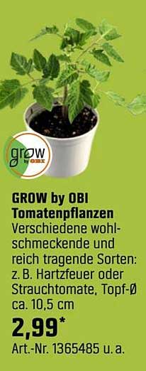 GROW by OBI Tomatenpflanzen - Verschiedene wohlschmeckende und reich tragende Sorten