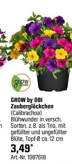 GROW by OBI Zauberglöckchen (Calibrachoa) - Blühwunder in verschiedenen Sorten