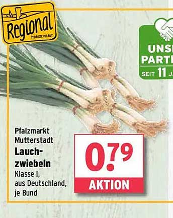 Lauchzwiebeln Klasse I aus Deutschland, je Bund