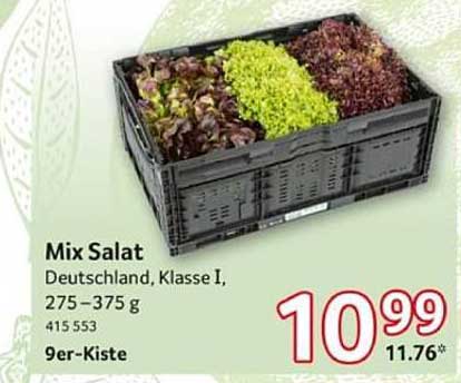 Mix Salat - Deutschland, Klasse I, 275–375 g, 9er-Kiste