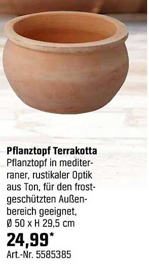 Pflanztopf Terrakotta
