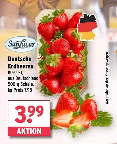 SanLucar Deutsche Erdbeeren 500-g-Schale