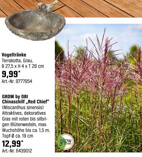 Vogeltränke Terrakotta, Grau