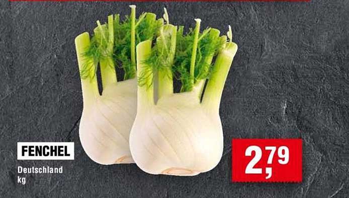 Fenchel aus Deutschland