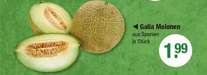 Galia Melonen aus Spanien je Stück