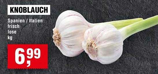 Knoblauch frisch aus Spanien/Italien - lose, kg