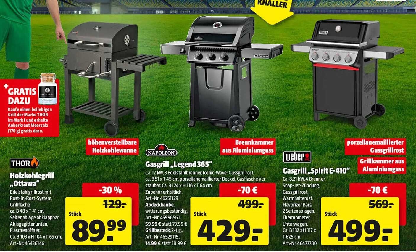 Holzkohlegrill „Ottawa“