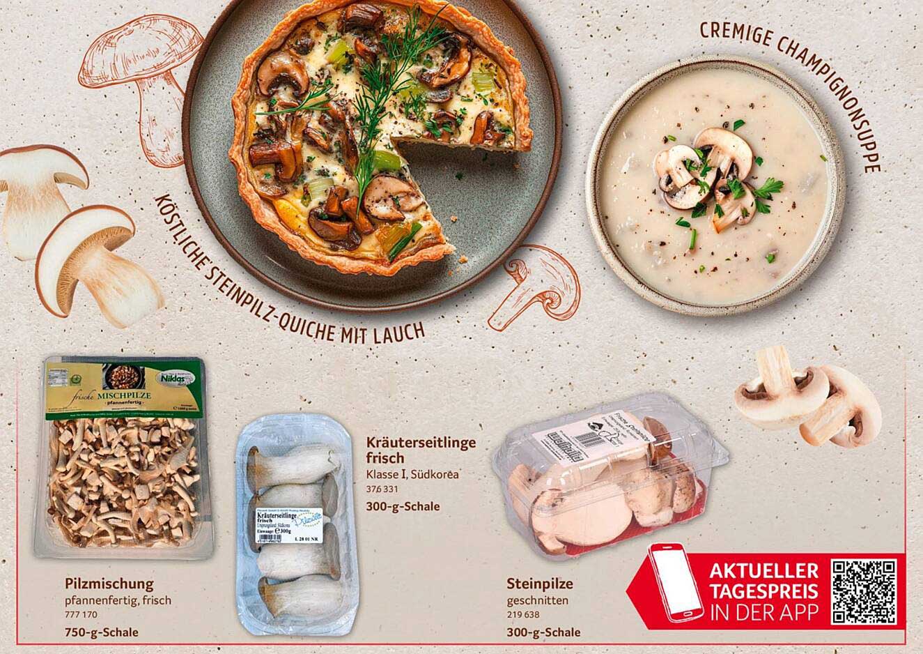 Frische Pilzmischung 750 g, Kräuterseitlinge frisch 300 g, Steinpilze geschnitten 300 g
