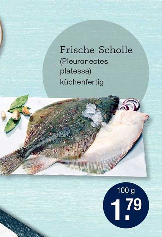 Frische Scholle (Pleuronectes platessa) küchenfertig